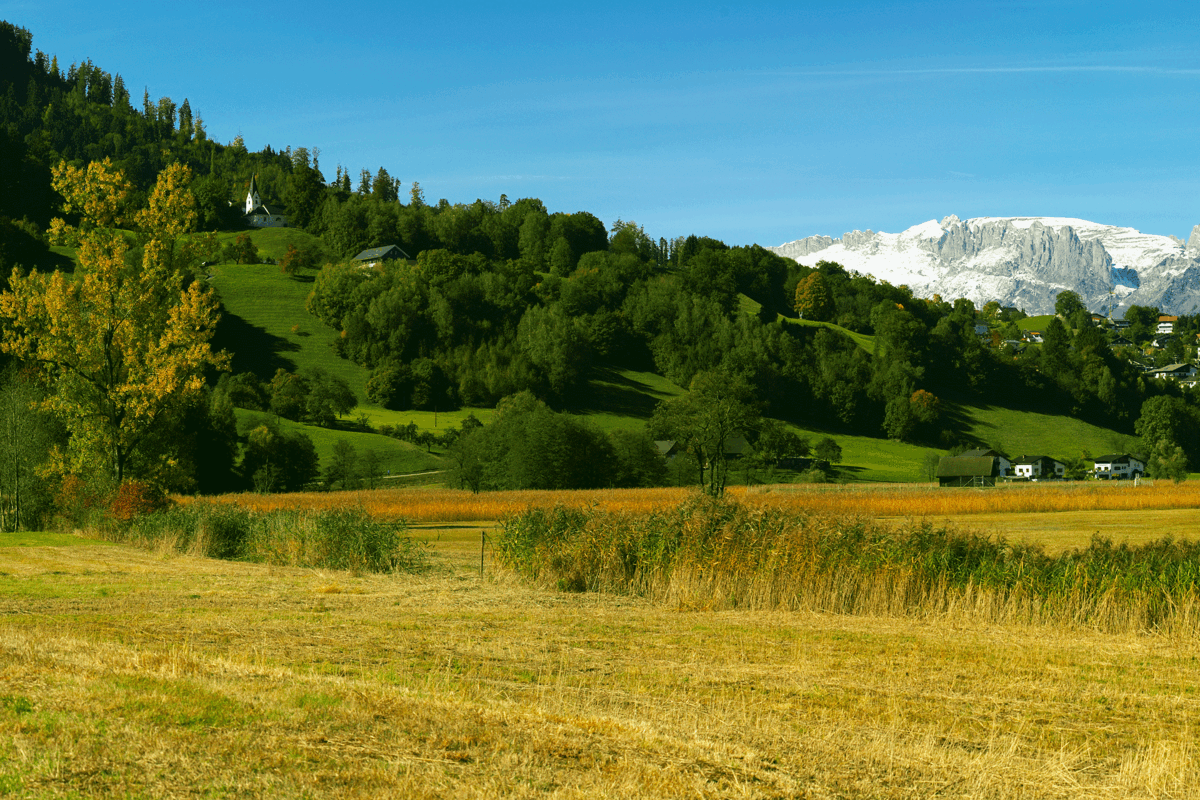 Naturjuwel Frastanzer Ried. (Fotoquelle: Walter Vonbank)