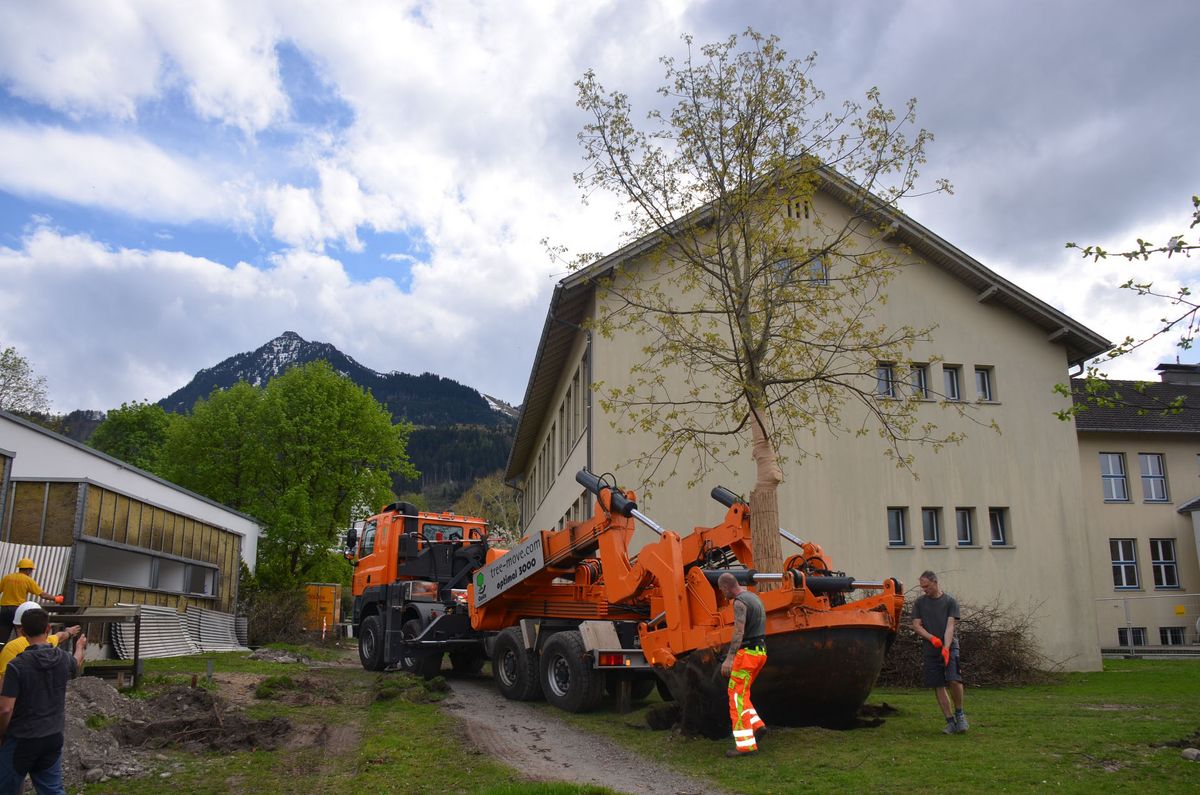 Als das Opfer versicherte, kein Suchtgift bei sich zu haben und die forderten sie das Opfer auf, eine andere Person an den Vorfallsort zu locken, von welcher in Der 16-jhrige Frastanzer wurde in das Landeskrankenhaus Vorarlberg: Schwerverletzter nach Raub in Frastanz - menus2view.com
